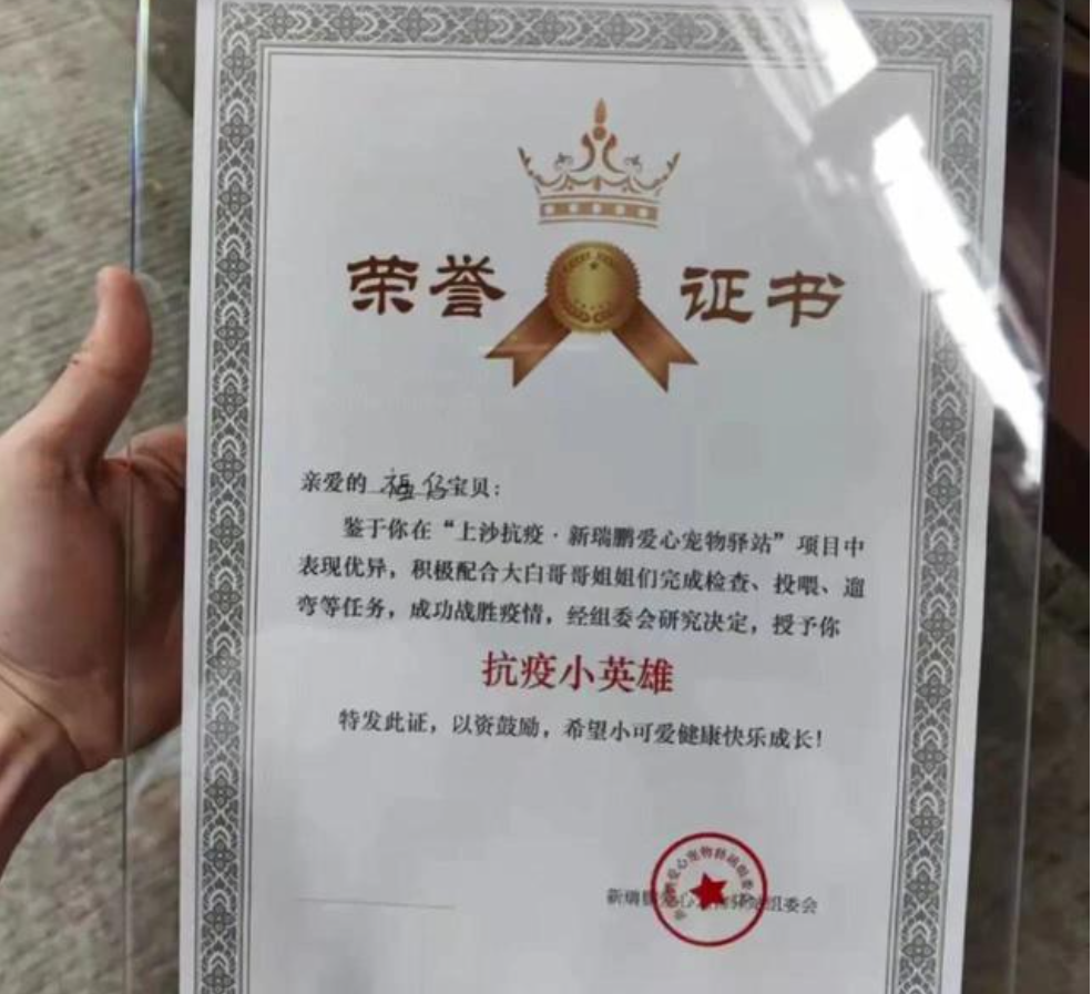 pg电子模拟器(中国)官方网站